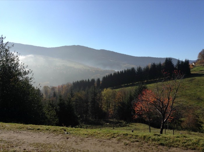 Couleurs d'automne autour du chalet