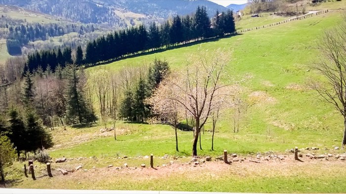 Vue sur la vallée de Bussang depuis le chalet